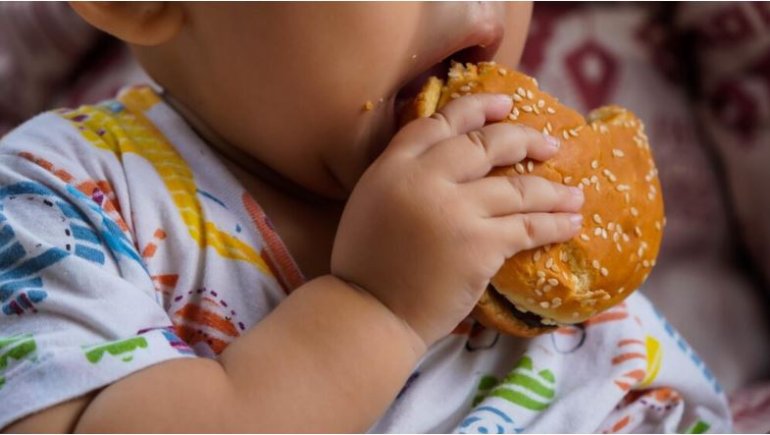 Desafios e avanços na saúde nutricional infantil: Anemia, excesso de peso e deficiências de vitaminas 