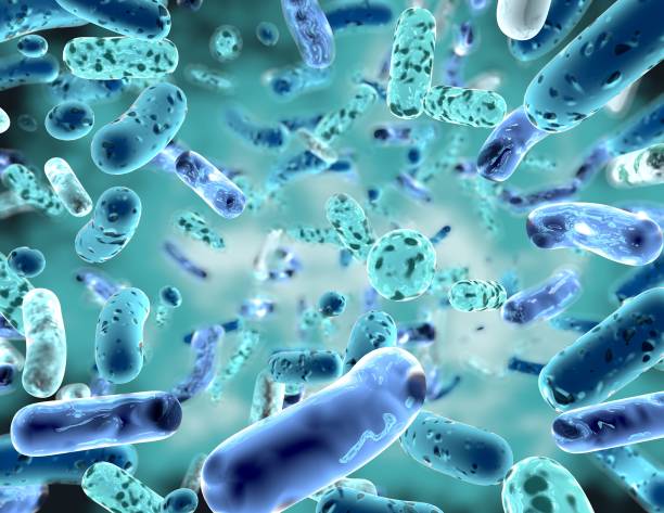 Desvendando a conexão entre microbiota intestinal e obesidade