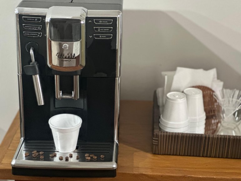 Adoçantes artificiais podem acelerar o declínio cognitivo - O que a ciência revela?