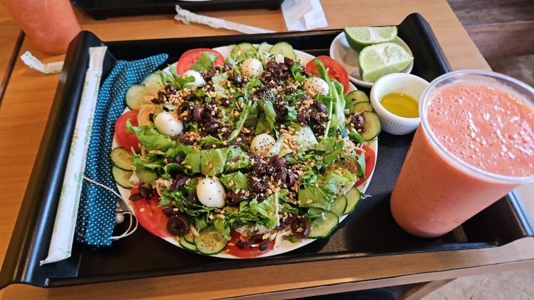 Modismos na alimentação - Como a dieta plant based está ganhando espaço e transformando hábitos