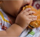 Desafios e avanços na saúde nutricional infantil: Anemia, excesso de peso e deficiências de vitaminas 