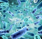 Desvendando a conexão entre microbiota intestinal e obesidade